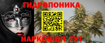 тгк Канаш