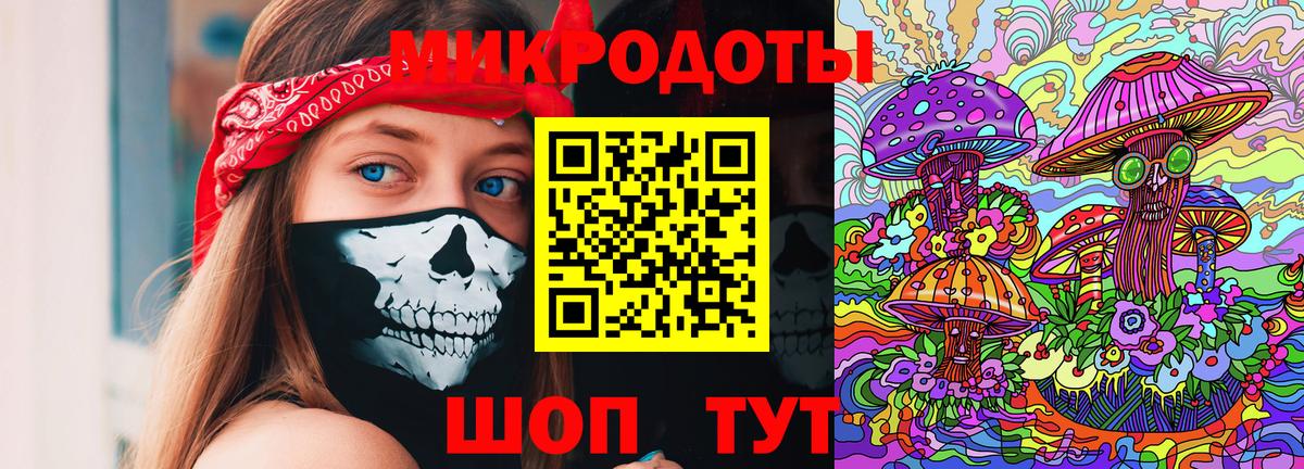 Псилоцибиновые грибы Cubensis Железногорск