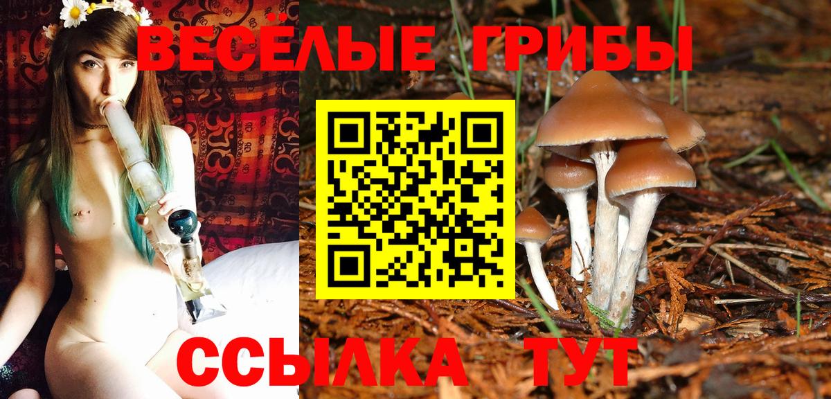 Галлюциногенные грибы Magic Shrooms  Вход с VPN  где найти наркотики  Железногорск  Псилоцибиновые грибы мицелий 